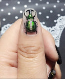 Galaxy Krome, Gellico. Nail supplier at the United States specialized in Nail, Nail Art Supplies, Gel polish, Acrylic Nail Supplies Nail Gel, Nail Glitter, Nail Brushes, Nail Files & Buffers, Nail Dryers.